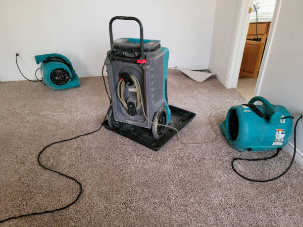 Best Water damage restoration experts  in Wingdale, NY