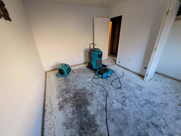 Best 24/7 water damage repair  in Wingdale, NY