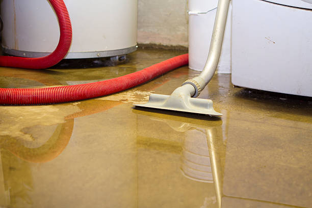 Best Water damage restoration near me  in Wingdale, NY